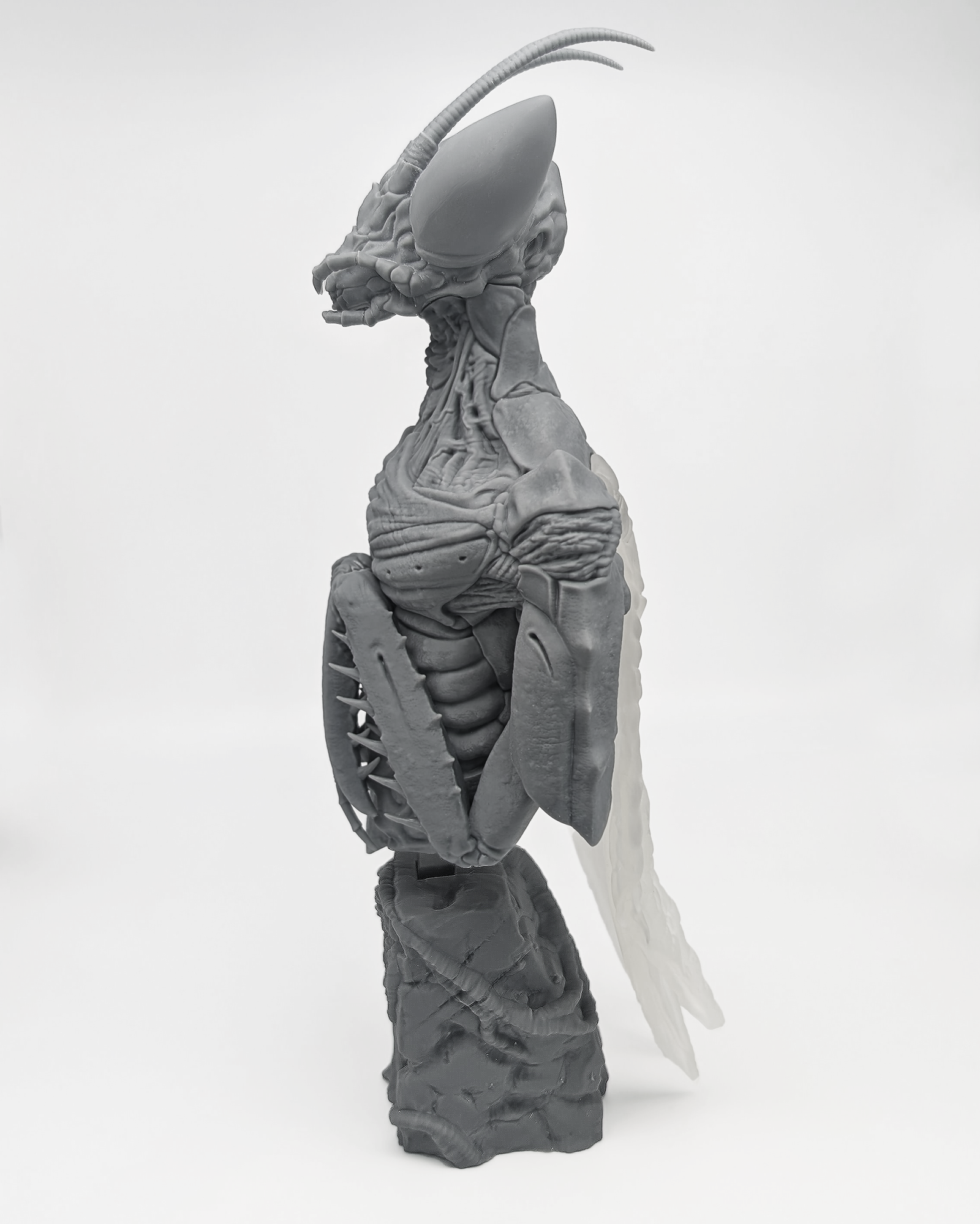 HUMANTIS